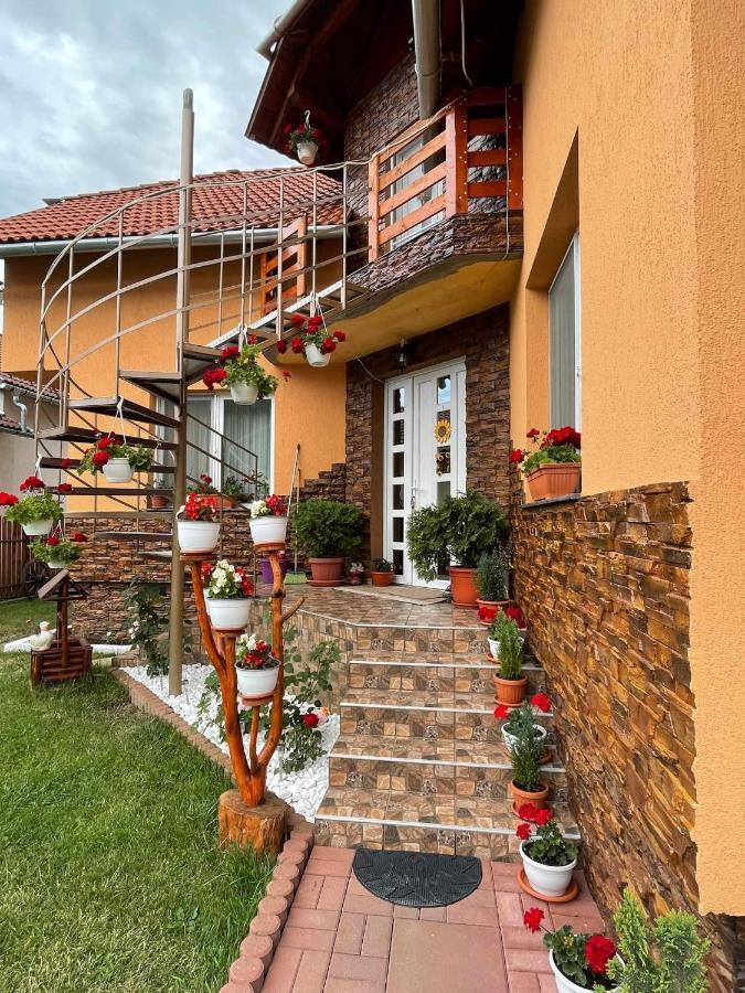 Casa De Oaspeti Cristian Praid Exterior photo
