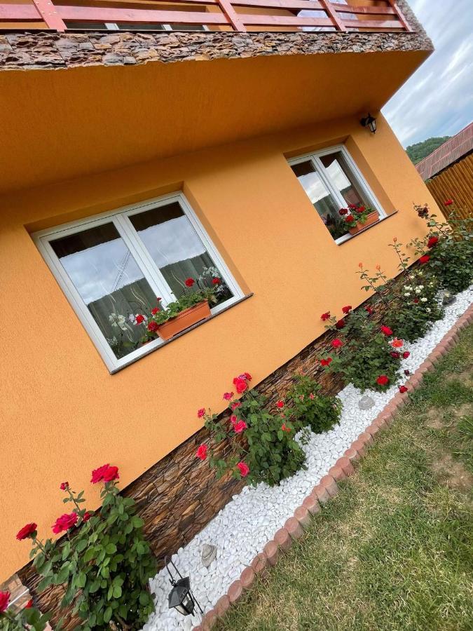 Casa De Oaspeti Cristian Praid Exterior photo